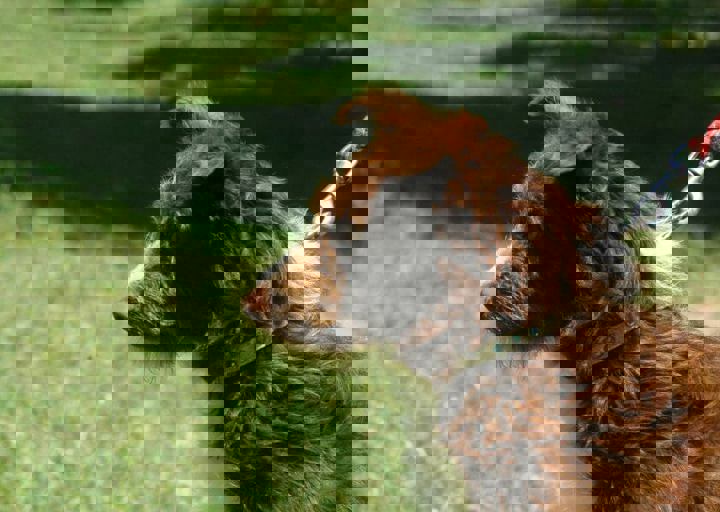 DSC_1683.JPG