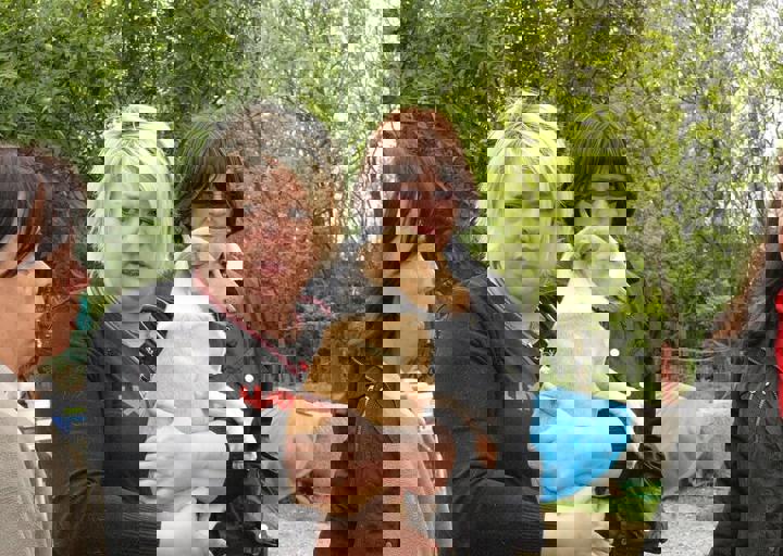 16_05150315.jpg