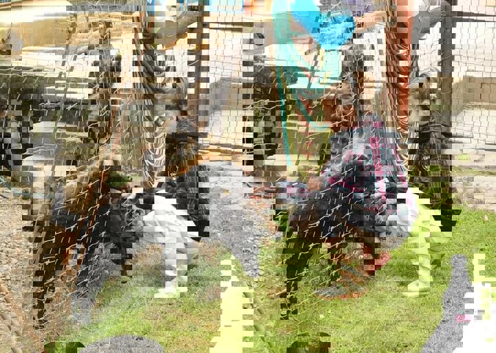 16_05150316.jpg