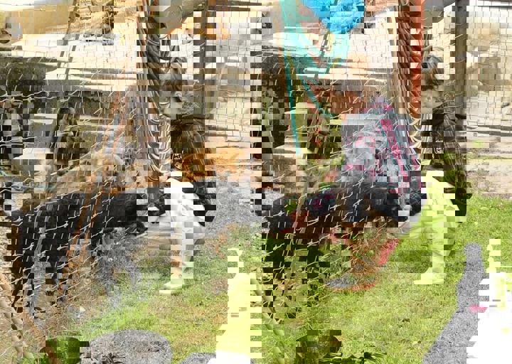 16_05150317.jpg