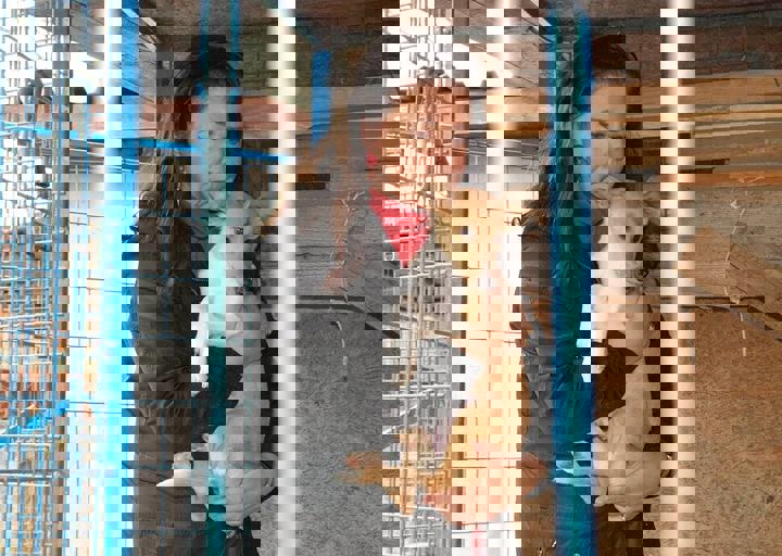 16_05150318.jpg