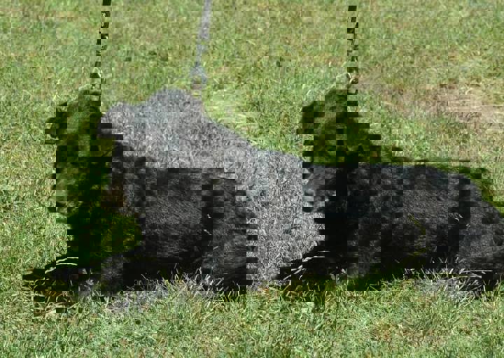 DSC_1691.JPG