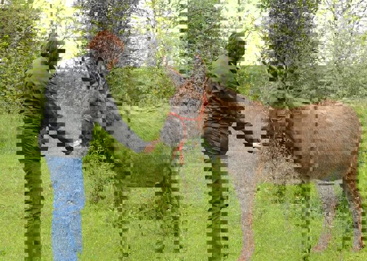 16_05150319.jpg