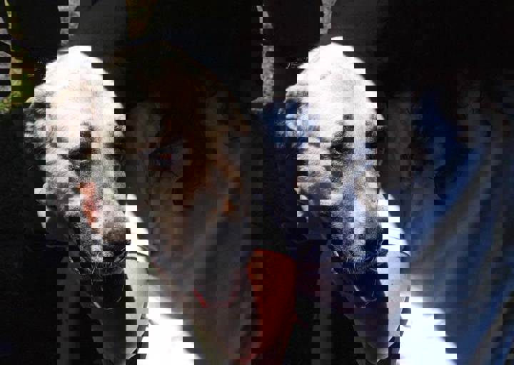 17_06110001.jpg