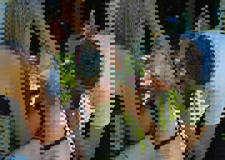 17_06110005.jpg