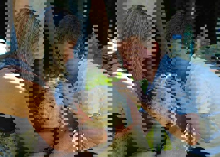 17_06110007.jpg