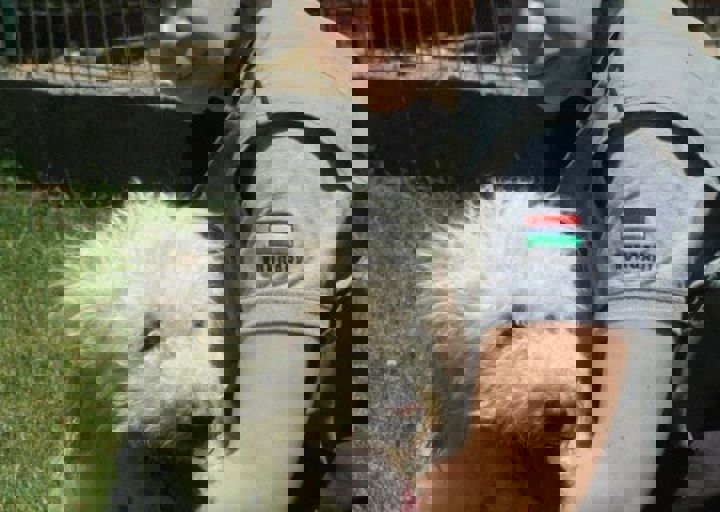 DSC_1699.JPG
