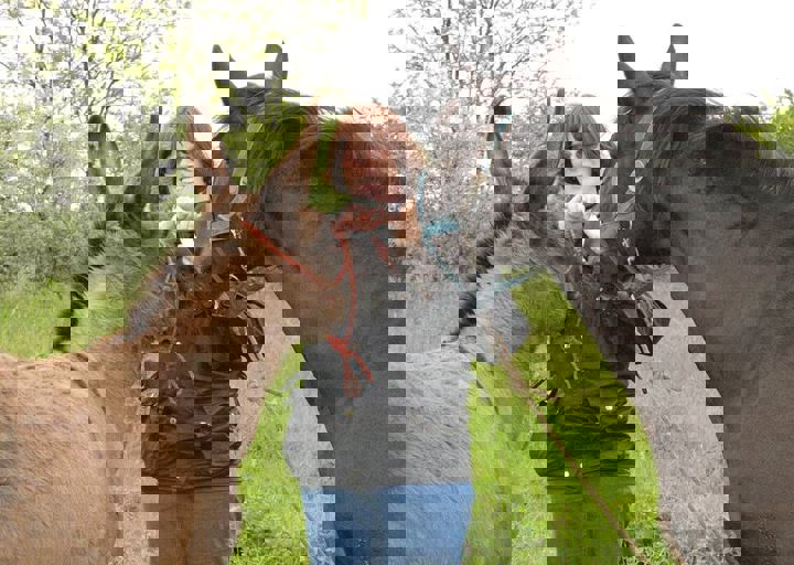 16_05150341.jpg