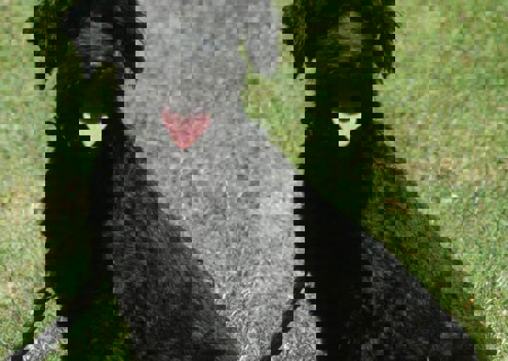 DSC_1705.JPG