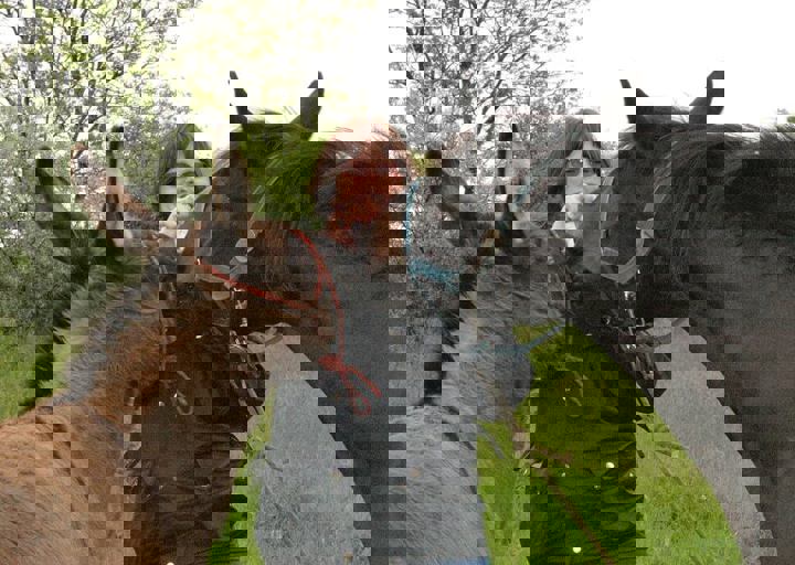 16_05150343.jpg