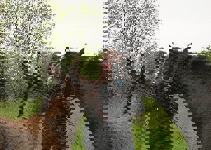 16_05150344.jpg