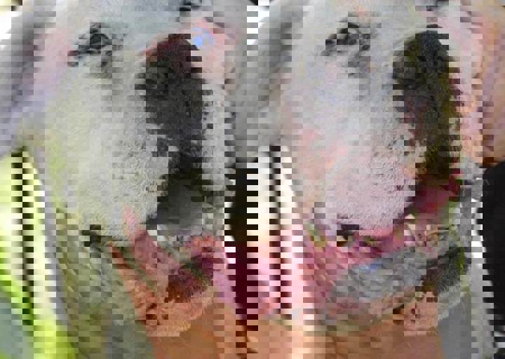 17_06110023.jpg