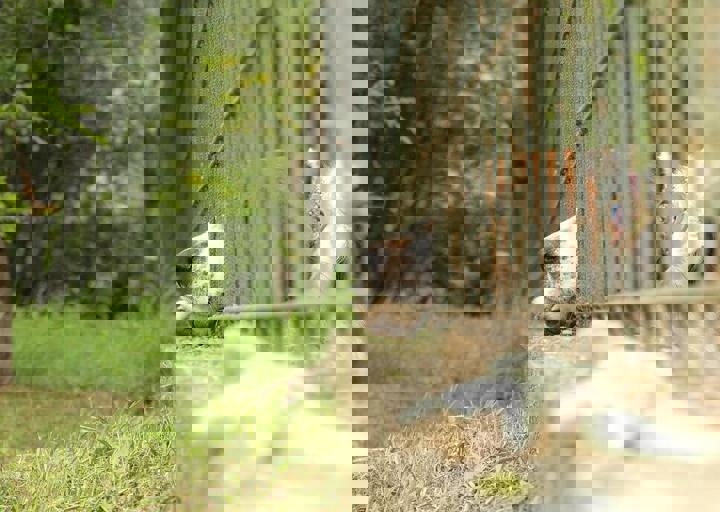 16_05150355.jpg