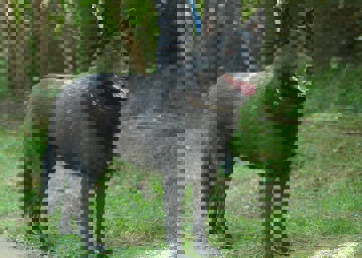 DSC_1725.JPG