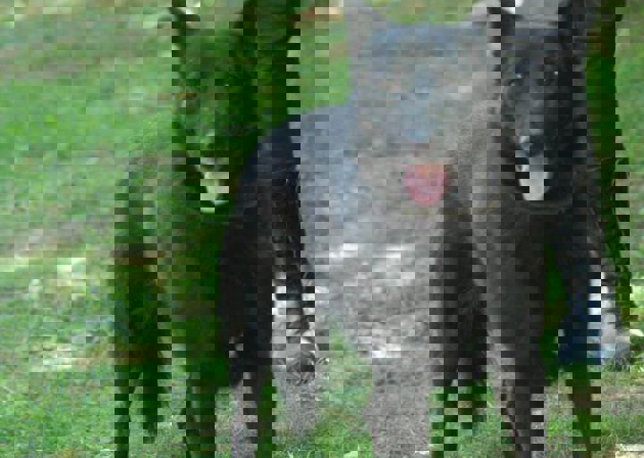 DSC_1727.JPG