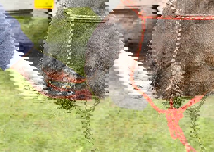 16_05150361.jpg