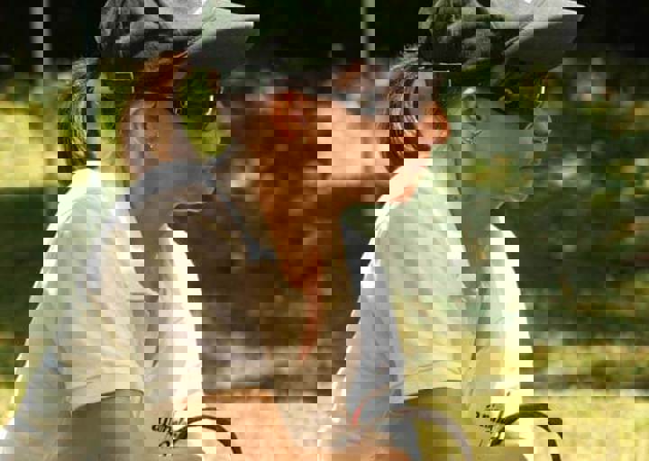 17_06110041.jpg