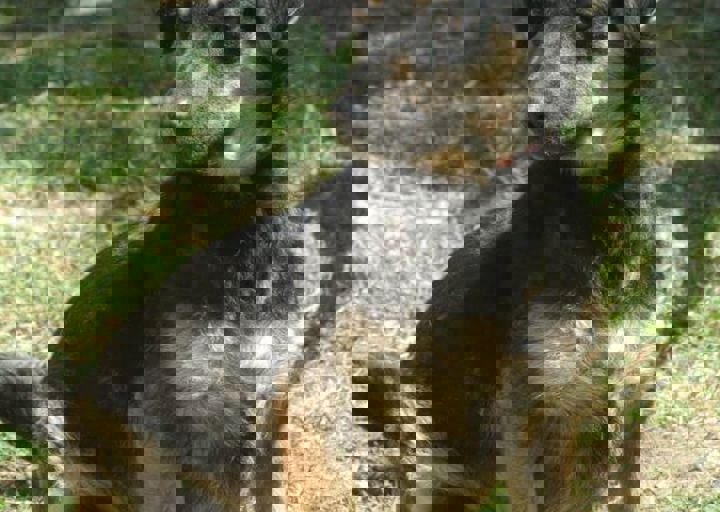 DSC_1733.JPG