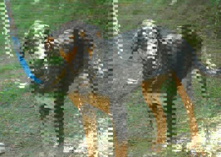 DSC_1737.JPG