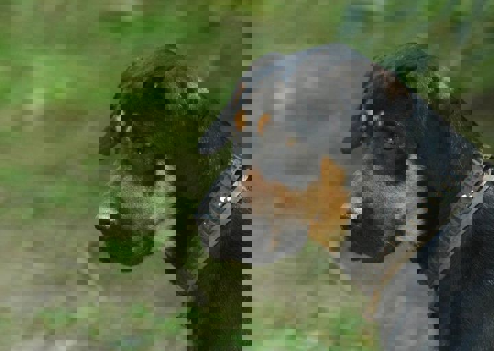 DSC_1749.JPG