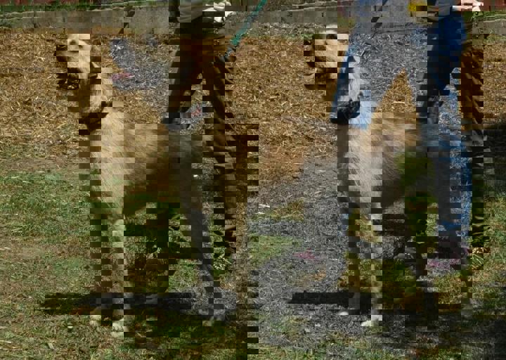 DSC_1751.JPG