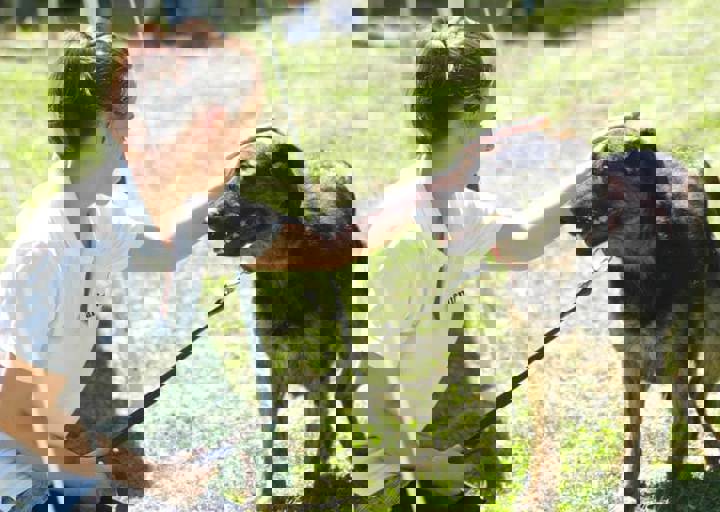 17_06110057.jpg