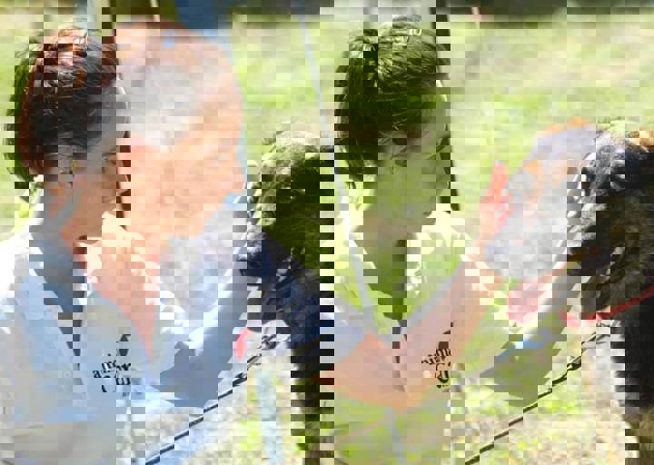 17_06110058.jpg