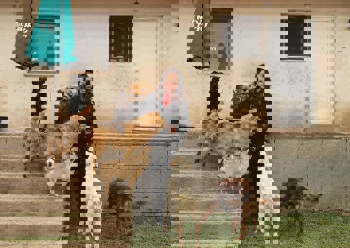 16_05150382.jpg