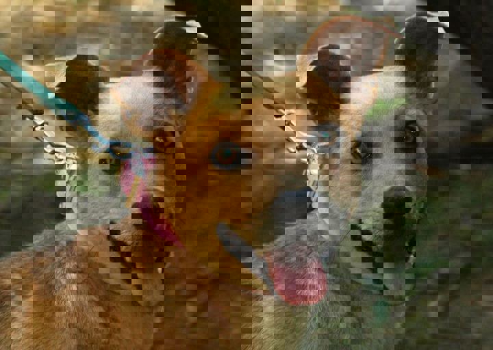 DSC_1761.JPG