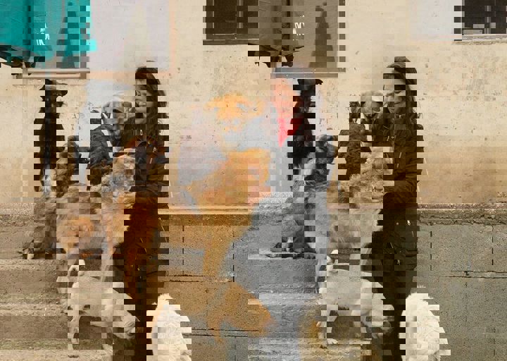 16_05150383.jpg