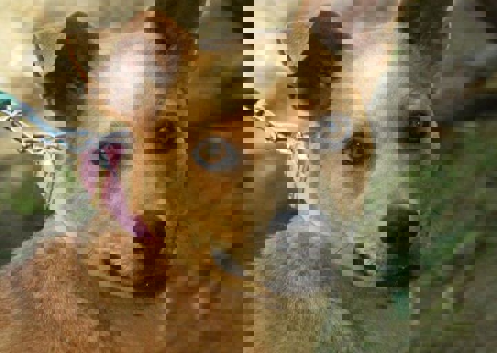 DSC_1762.JPG