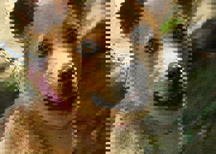 DSC_1763.JPG