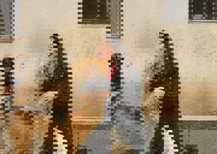 16_05150385.jpg