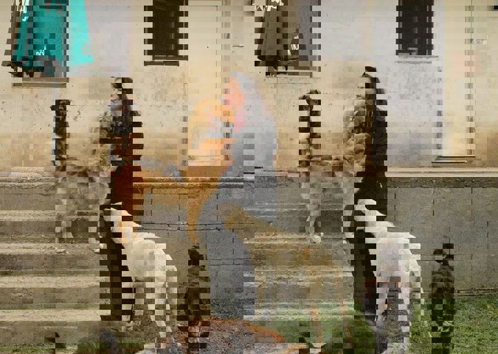16_05150386.jpg