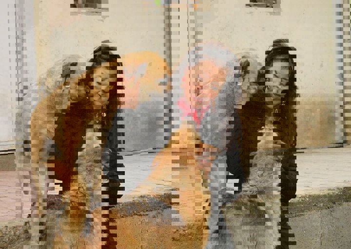 16_05150387.jpg