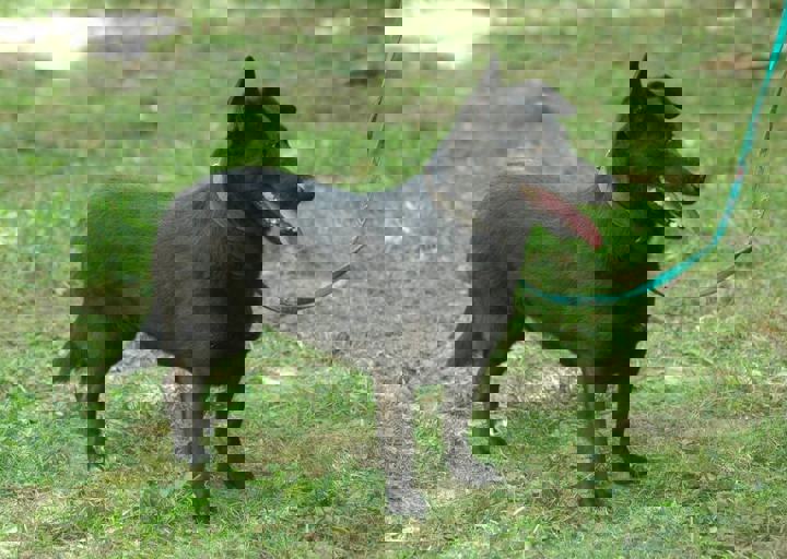 DSC_1769.JPG