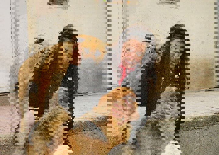 16_05150389.jpg