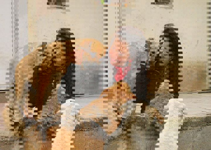 16_05150390.jpg