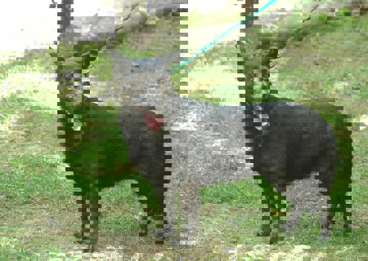 DSC_1773.JPG