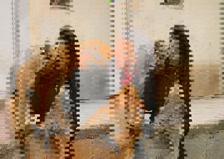 16_05150391.jpg