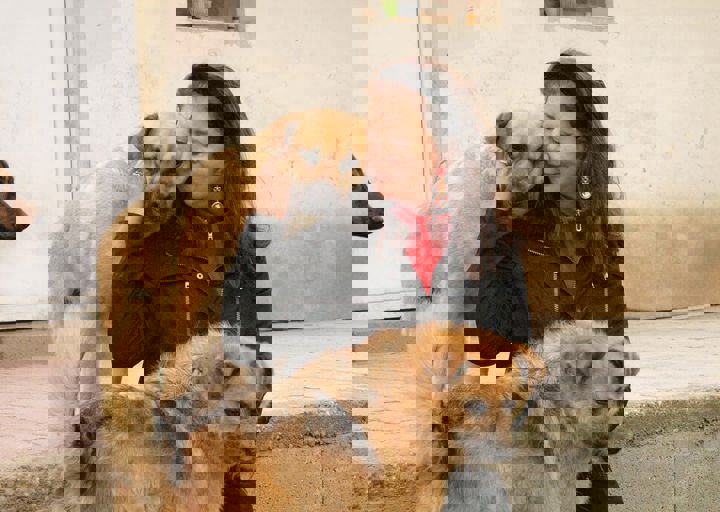 16_05150392.jpg