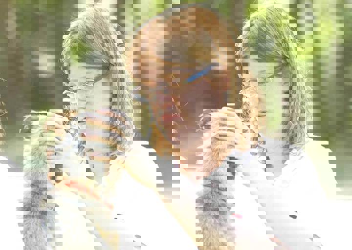 17_06110076.jpg