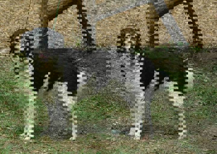 DSC_1781.JPG