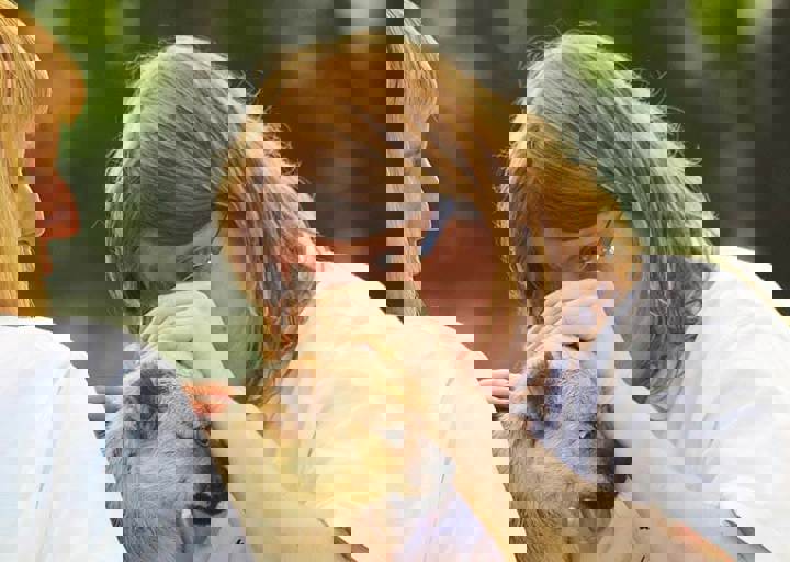 17_06110081.jpg