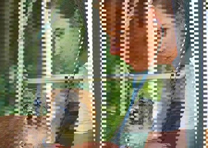 17_06110085.jpg