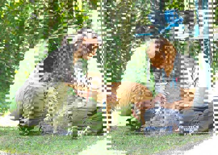 17_06110088.jpg