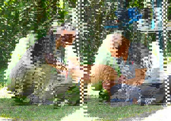 17_06110089.jpg