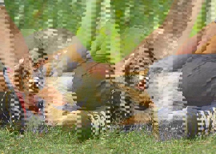 17_06110092.jpg