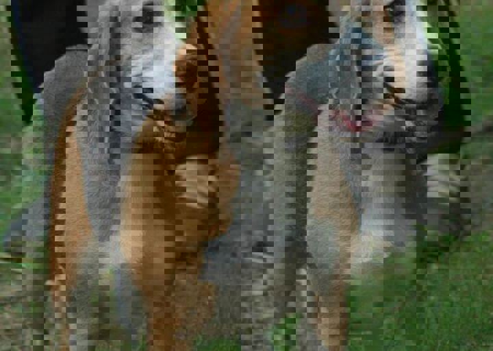 DSC_1797.JPG