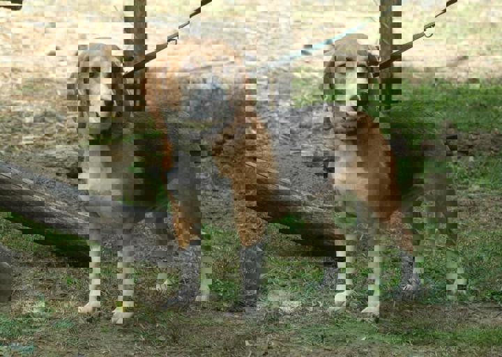 DSC_1804.JPG